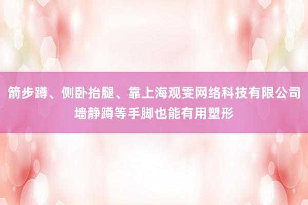 箭步蹲、侧卧抬腿、靠上海观雯网络科技有限公司墙静蹲等手脚也能有用塑形