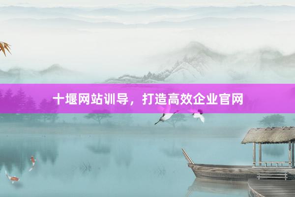 十堰网站训导，打造高效企业官网