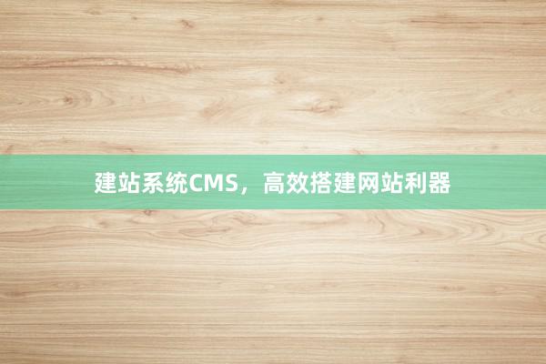 建站系统CMS，高效搭建网站利器