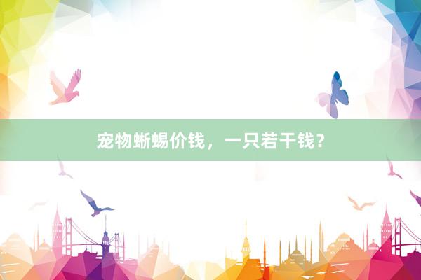 宠物蜥蜴价钱，一只若干钱？