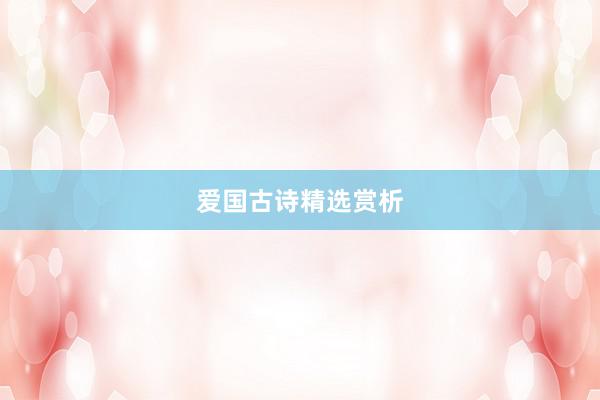 爱国古诗精选赏析